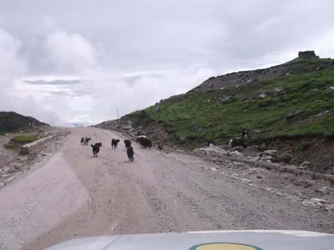 On return from Nathu La