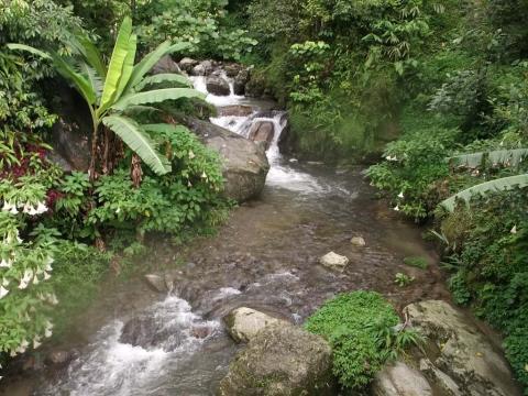 Banjahakri Falls