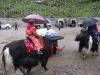 Tsomgo Lake (Tibetan Dress Photo Session)