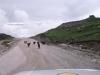 On return from Nathu La