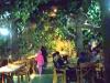 Forest View Restaurant - Khanchendzonga Tourist Complex